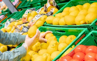 Alemania, Francia y Países Bajos, los principales destinos de exportación hortofrutícola española