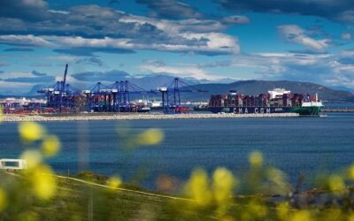 Algeciras relanza la renovación del control de accesos para camiones en su frontera portuaria con cuatro nuevas ofertas