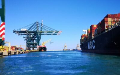 Valenciaport consolida su actividad en 2025 con un aumento del tráfico de contenedores
