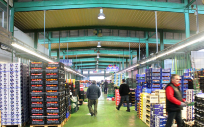 Granada impulsa Mercagranada con inversión de 390 millones, trenes de mercancías y más de 1.500 empleos