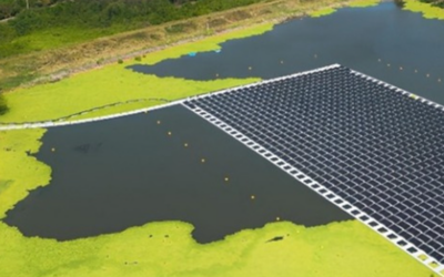 Neoenergia se consolida como referente en sostenibilidad en Brasil